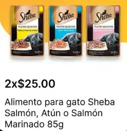 OXXO Sheba alimento para gato salmón, atún o salmón marinado oferta