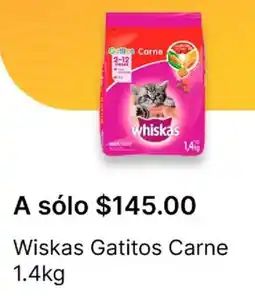OXXO Wiskas gatitos carne oferta