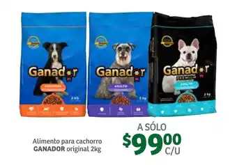 Alimento para Cachorro Original Ganador 2kg