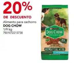 City Club Dog Chow alimento para cachorro oferta