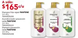 City Club Pantene shampoo o acondicionador oferta