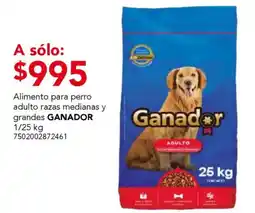 City Club Ganador alimento para perro adulto oferta