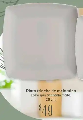 Plato trinche de melamina color gris acabado mate