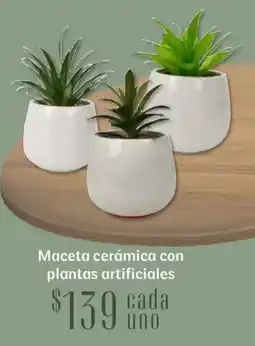 Soriana Híper Maceta cerámica con plantas artificiales oferta