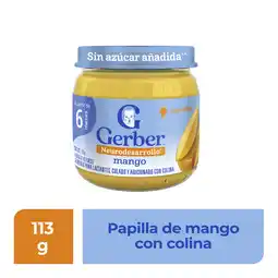 Farmacias YZA Gerber Plus Et 2 Mango 113G oferta