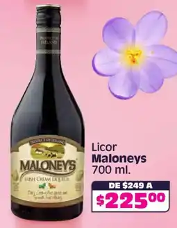 Soriana Híper Maloney's licor oferta