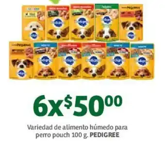 Soriana Mercado Alimento Húmedo para Perro Pedigree 6x100g oferta