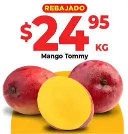 HEB Mango Tommy oferta
