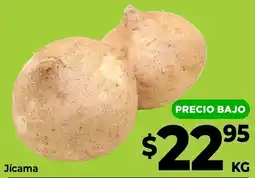 HEB Jícama oferta