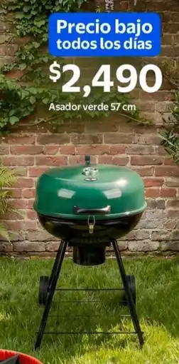 Walmart Asador verde oferta