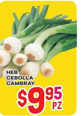Cebollita cambray