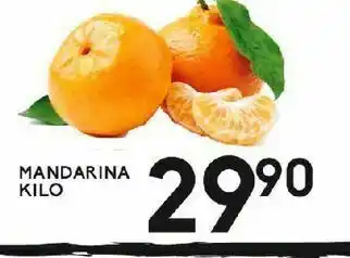 Mandarina kilo