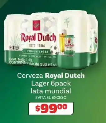 Royal dutch cerveza lager
