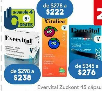 Farmacia San Pablo Evervital 2020 omega 3 y zinc c/60 oferta