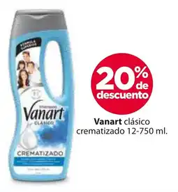Zorro Vanart clásico crematizado oferta