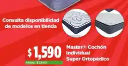 Bodega Aurrerá Master cochón individual oferta