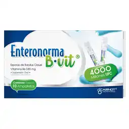 Farmacias YZA Enteronorma B-Vit B6 90Ml 10 Amps oferta