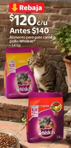 Walmart Whiskas alimento para gato carne o pollo oferta