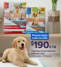 Walmart Vibrant life tapetes entrenadores oferta
