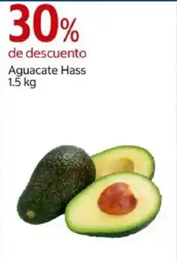 Costco Aguacate hass oferta