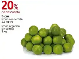 Costco Sicar limón con semilla oferta