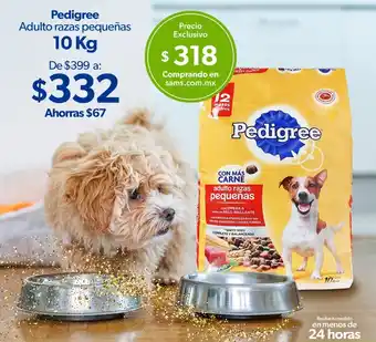 Pedigree Adulto Razas Pequeñas 10kg