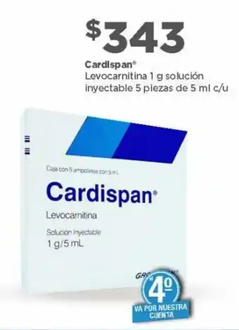 Cardispan Levocarnitina 1g/5ml