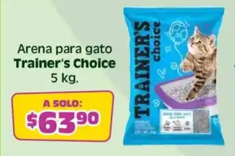 Trainer's choice arena para gato