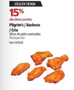 Costco Pilgrim's / bachoco /crio alitas de pollo marinadas oferta