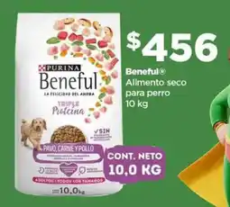 Bodega Aurrerá Beneful alimento seco para perro oferta