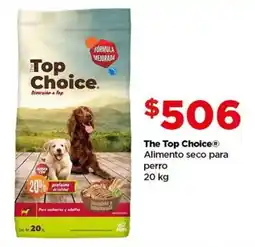 Bodega Aurrerá The top choice alimento seco para perro oferta
