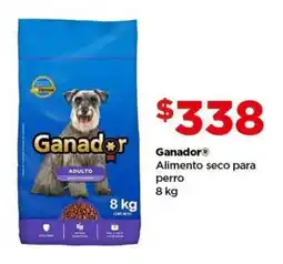 Bodega Aurrerá Ganador alimento seco para perro oferta