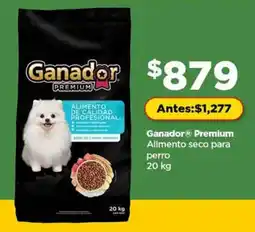 Bodega Aurrerá Ganador premium alimento seco para perro oferta