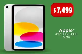 Apple iPad A16