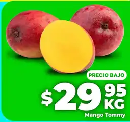 HEB Mango tommy oferta
