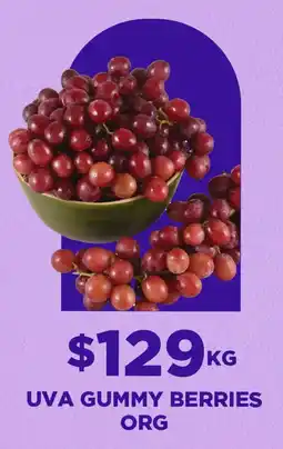 HEB Uva gummy berries org oferta