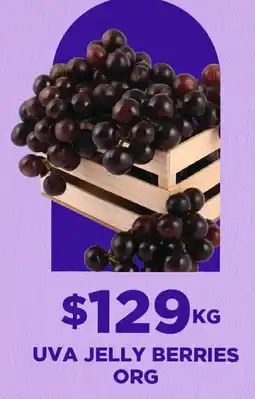 HEB Uva jelly berries org oferta