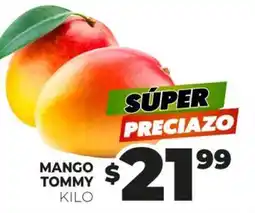 Merco Mango - mango tommy oferta