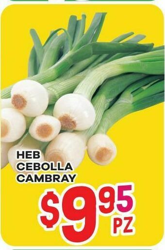 HEB Cebolla cambray oferta