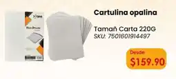 Woolworth Cartulina opalina Taman Carta oferta