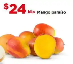 Bodega Aurrerá Mango paraíso oferta