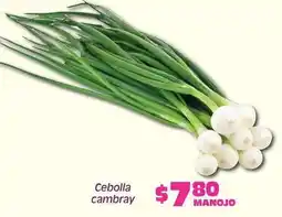 Soriana Híper Cebolla cambray oferta