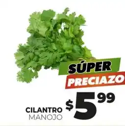 Merco Cilantro manojo oferta
