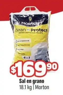 Smart & Final Morton sal en grano oferta