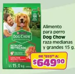 Soriana Mercado Dog Chow oferta