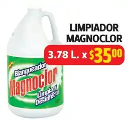 Farmacias Guadalajara Magnoclor limpiador oferta