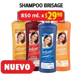 Farmacias Guadalajara Brisage shampoo oferta