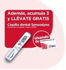 Farmacias del Ahorro Sensodyne Cepillo dental oferta