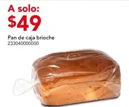 City Club Pan de caja brioche oferta