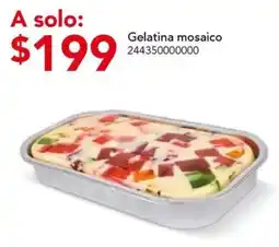 City Club Gelatina mosaico oferta